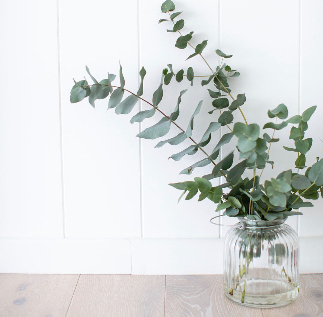 Creating a Daily Wellness Routine Through Incorporating Aromatherapy and Supplements.