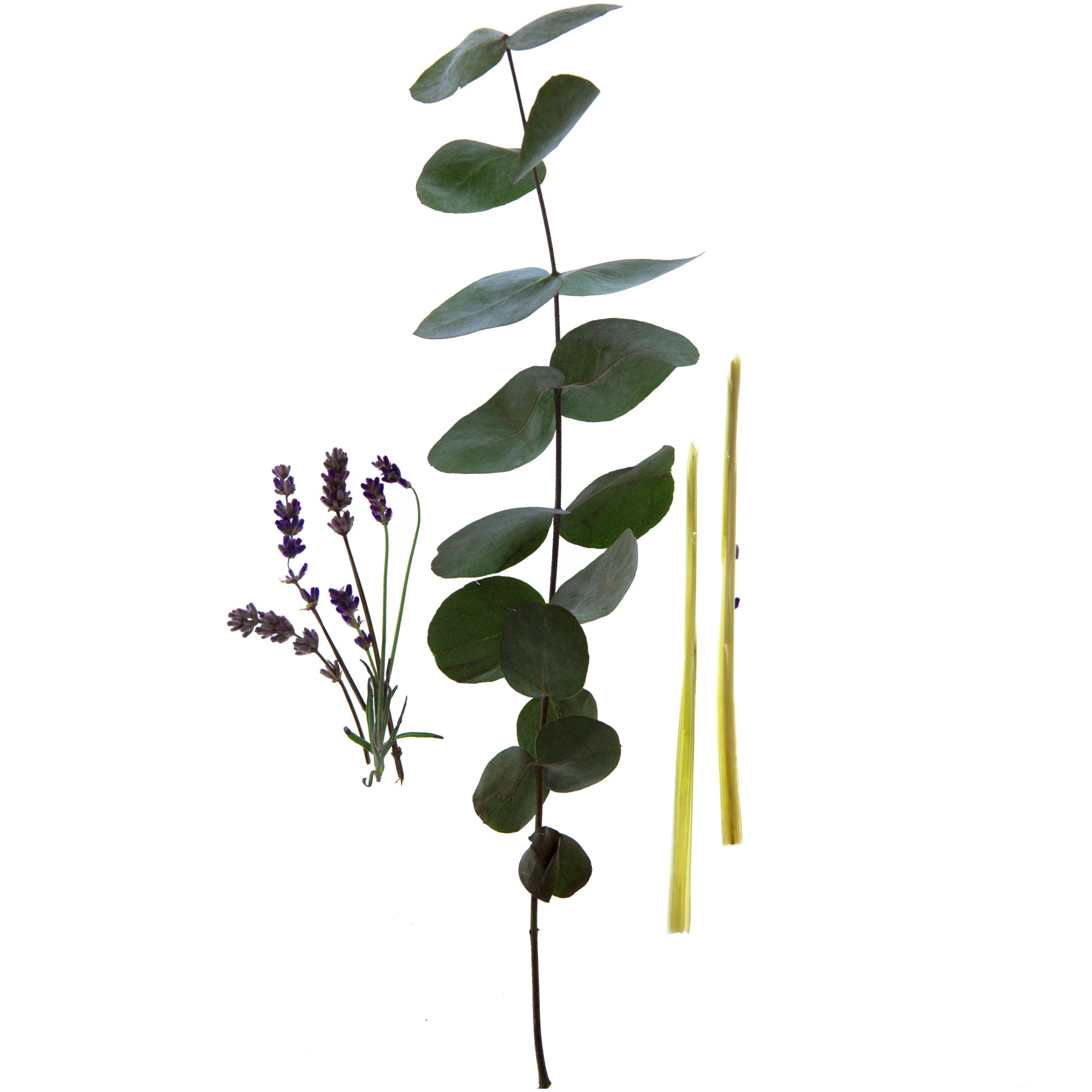 Pollution isn't just an outdoor issue.