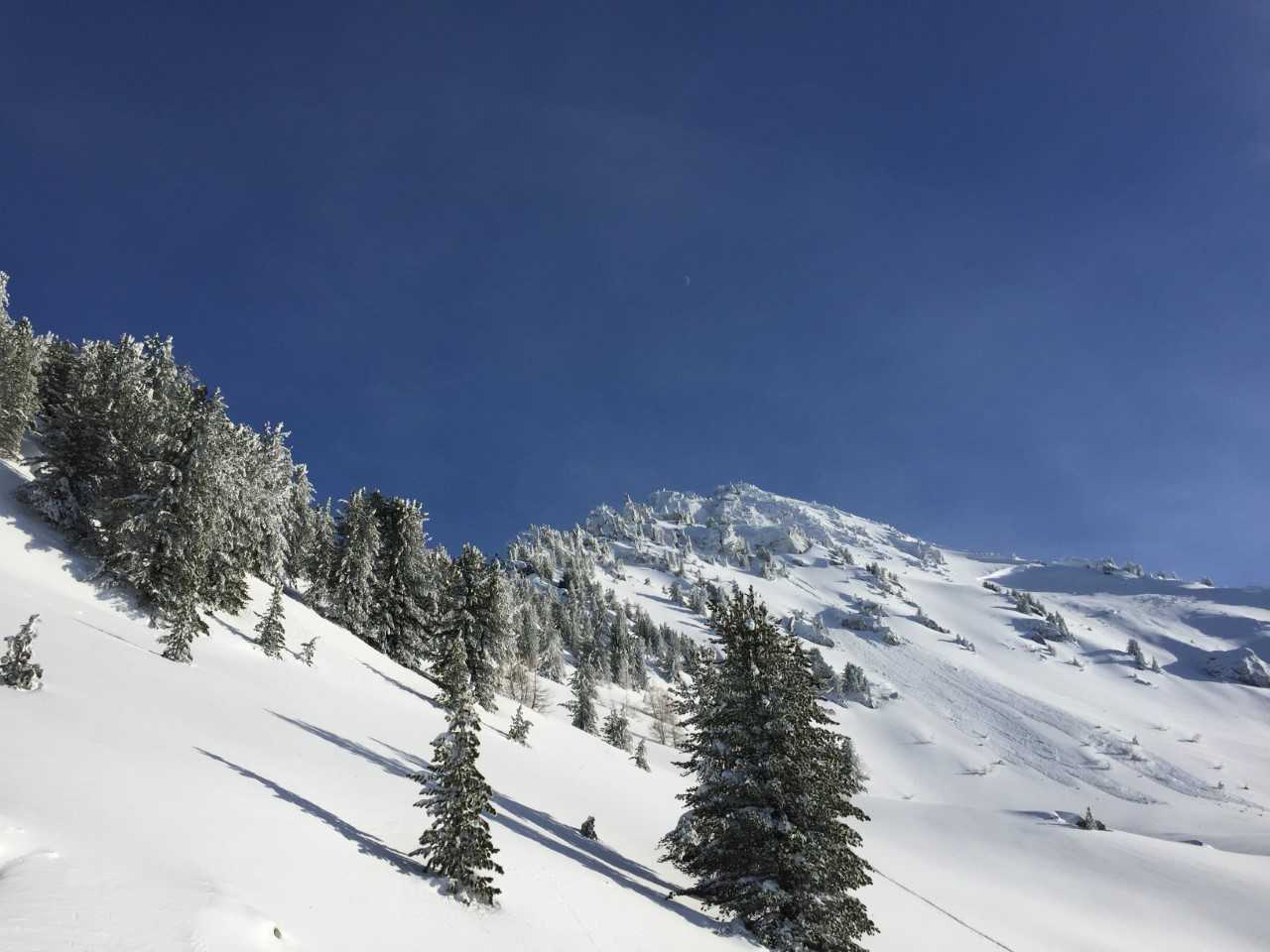 Winter Wellness