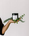 Focus Essential Oil Aromatherapy Candle