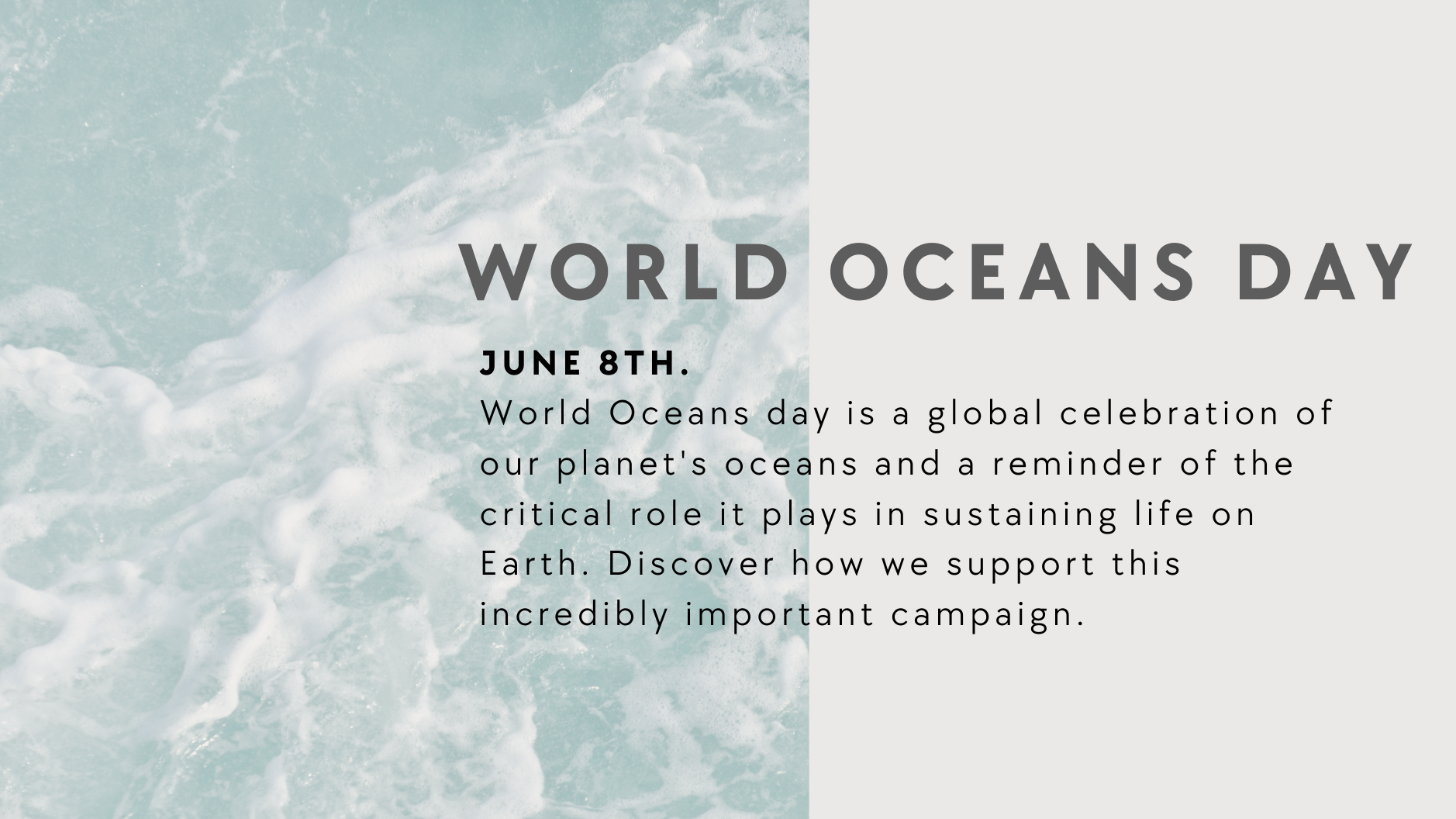 Surfing for Change on World Oceans Day