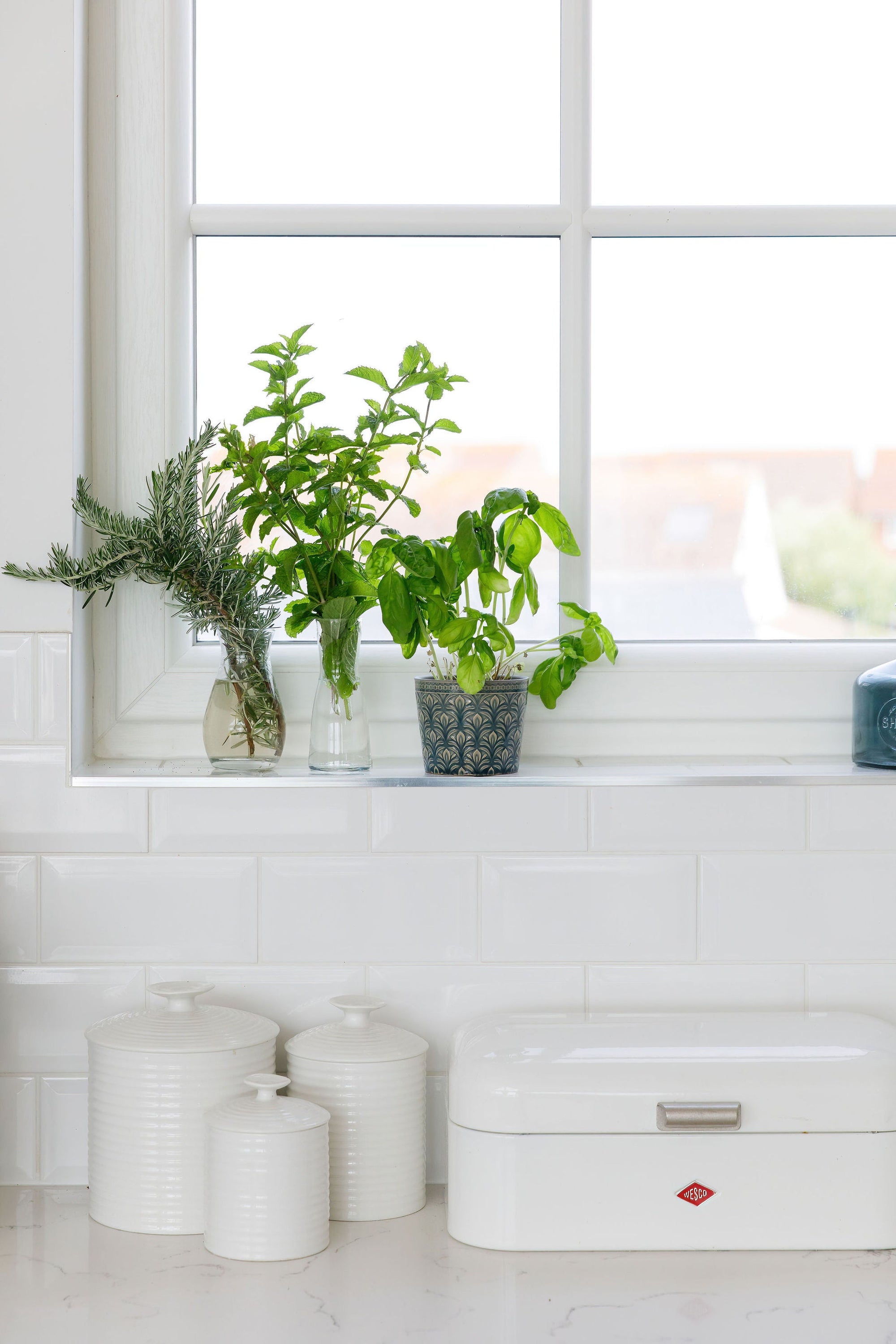 Tips to keep cut herbs fresh through summer, Spritz Wellness