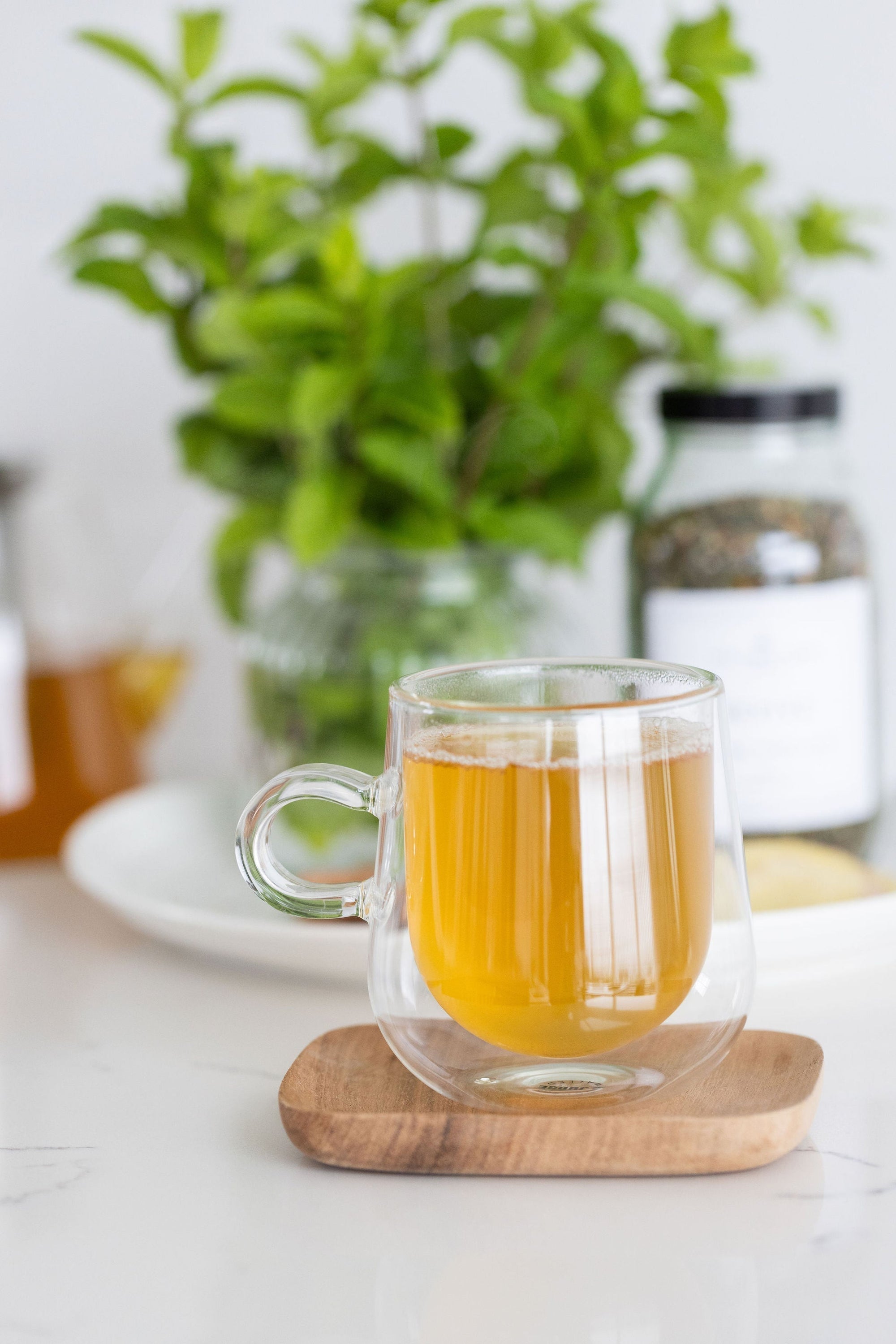 Reusing Revive tea leaves as natural plant fertiliser, Spritz Wellness