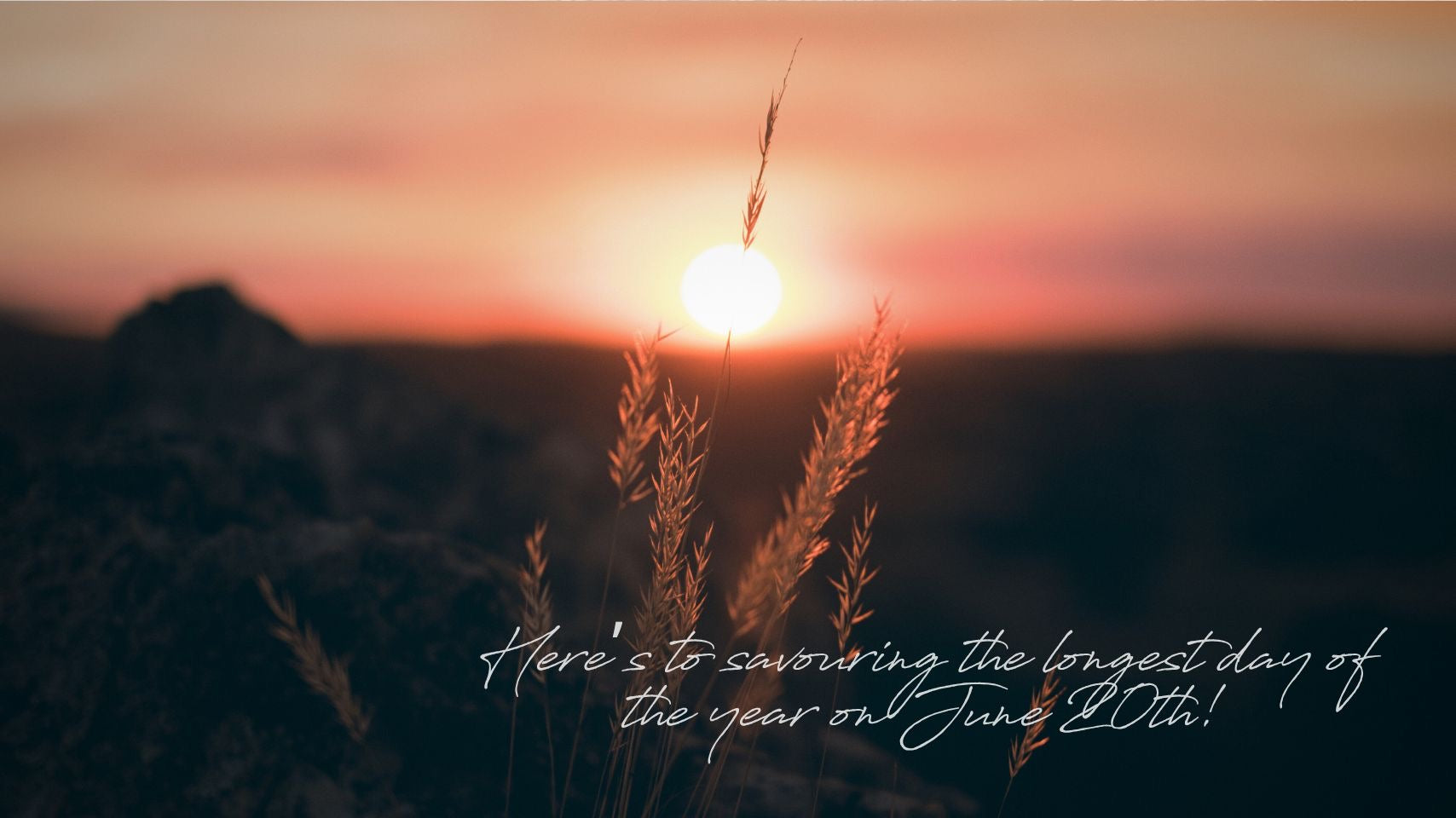 June: An Invitation to Pause