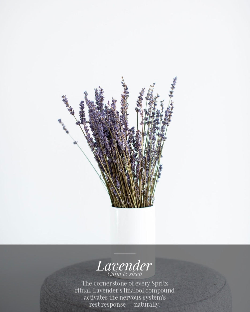 Spritz Wellness aromatherapy for stress relief and mental clarity