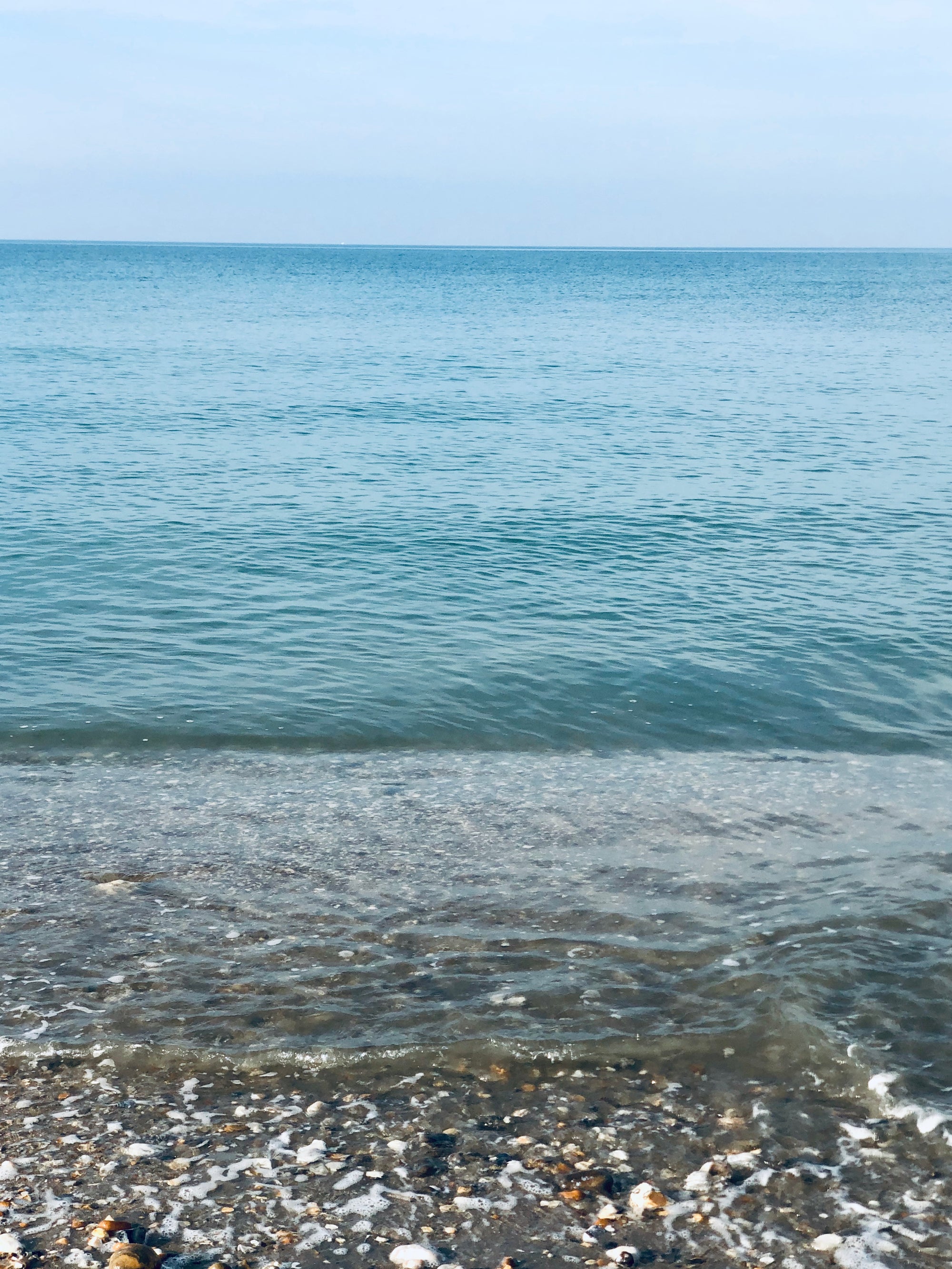 Ocean Activists Unite for Post-Lockdown Plastic Protest