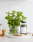 herbal tea ginger, tumeric and mint. all natural. loose leaf organic tea. 